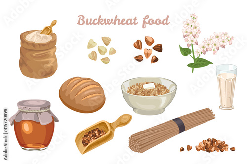 Buckwheat food set. Flowering plant, buckwheat grains, flour, porridge, honey, bread, vegan milk, noodles and seeds in a wooden scoop isolated on white. Vector illustration in cartoon flat style.