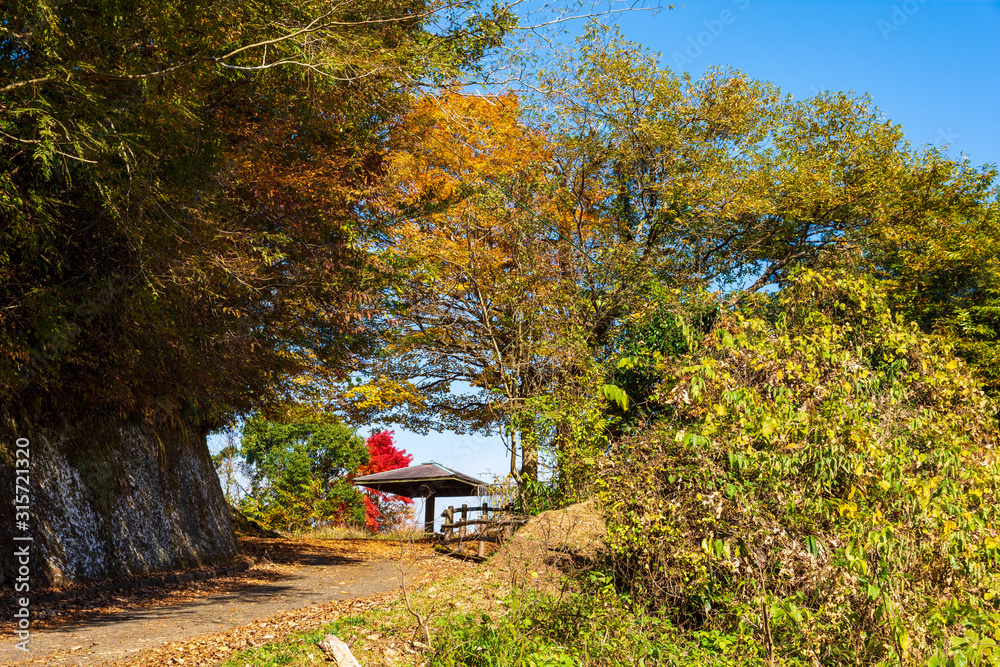 Naklejka premium 阿蘇 長崎鼻展望台から紅葉風景 阿蘇郡蘇陽町 aso Autumn leaves view from Nagasakibana Observatory Soyo-cho, Aso-gun
