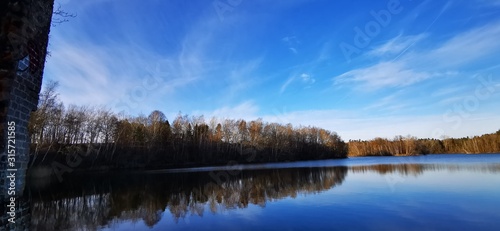 reflection of trees in water