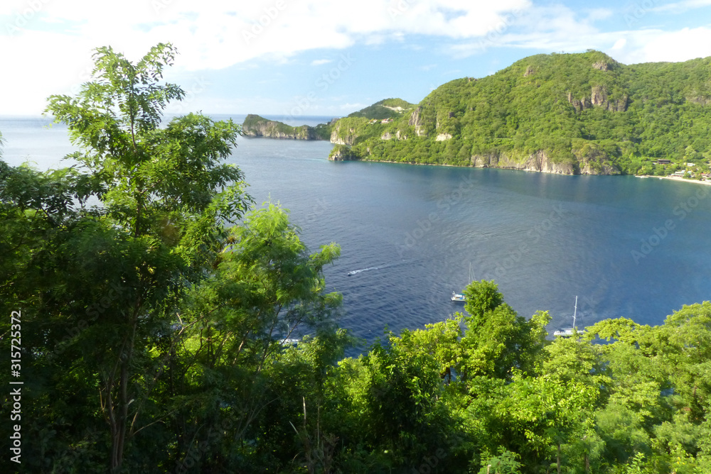 view of the bay from the rain forest  in saint Lucia 