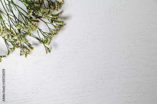 branch of white flowers on a white wooden table