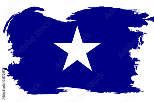 The Bonnie Blue Flag With White Grunge Border