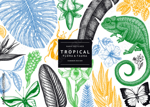 Tropical banner design. Vector frame with hand drawn tropical plants, exotic flowers, palm leaves, insects and chameleon. Vintage wildlife background. Summer template with tropical plants and animals.