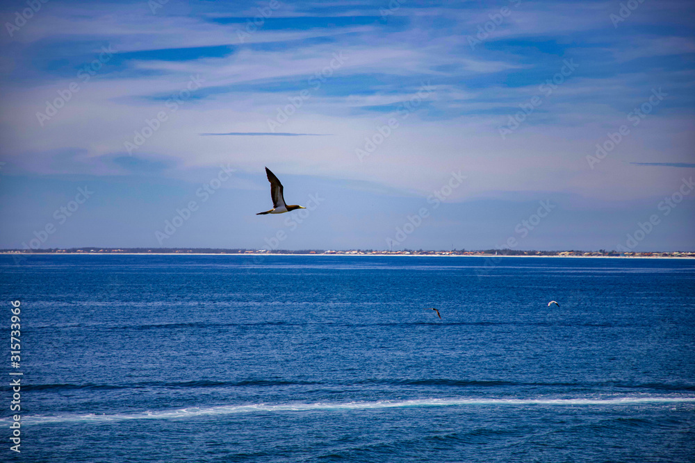 Fototapeta premium Fotos do mar