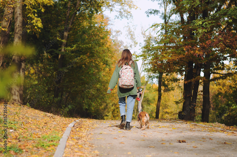 woman with american cocker spaniel walks at autumn park woman with american cocker spaniel walks at autumn park