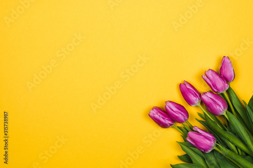 Pink, purple tulips in corner on yellow background