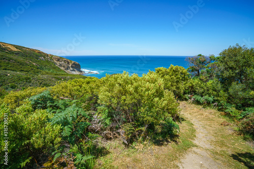 hiking the great ocean walk to milanesia beach  coast of victoria  australia