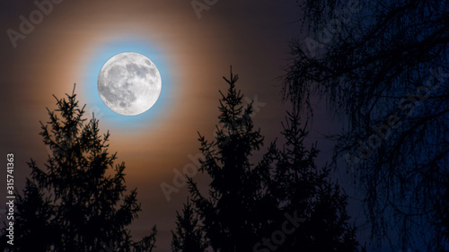 Full moon rainbow corona. Moonrise over spruce trees in night forest. Round orange moonlight glow. Conifers tops on illuminated dark blue sky. Evening dusk tranquil view. Rural landscape in darkness. © KPixMining