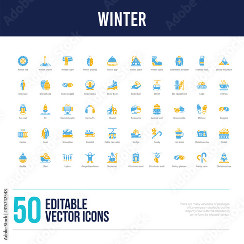 50 winter concept filled icons