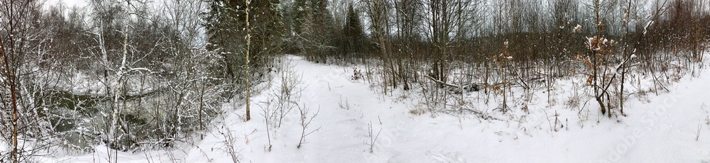 Panoramic view with winter river and snow forest. Beautiful winter landscape Panoramic view with winter river and snow forest. Beautiful winter landscape