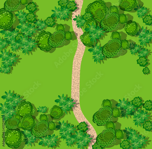 Top view of the countryside with forest