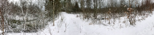 Panoramic view with winter river and snow forest. Beautiful winter landscape © Vitalii Makarov