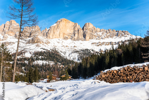 Snowy towering mountains in the Dolomites on a clear winter day. A pile of logs is visible in foreground.