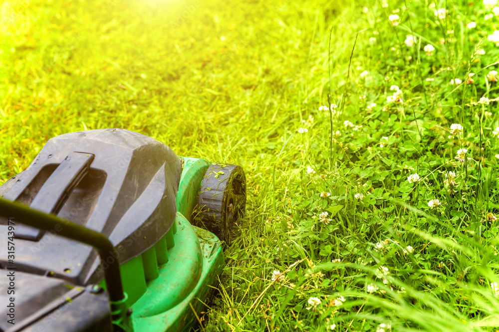 Fototapeta premium Man cutting green grass with lawn mower in backyard. Gardening country lifestyle background. Beautiful view on fresh green grass lawn in sunlight, garden landscape in spring or summer season.