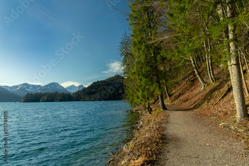 soft focus nature scenic view spring time Central European reservation environment edge of pine forest with dirt lonely trail for walking near lake peaceful waterfront and gorgeous mountains landscape
