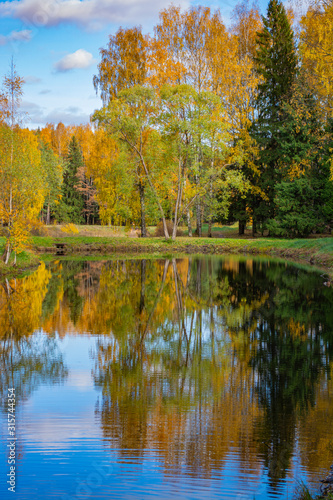 Pond in the autumn park on a sunny day