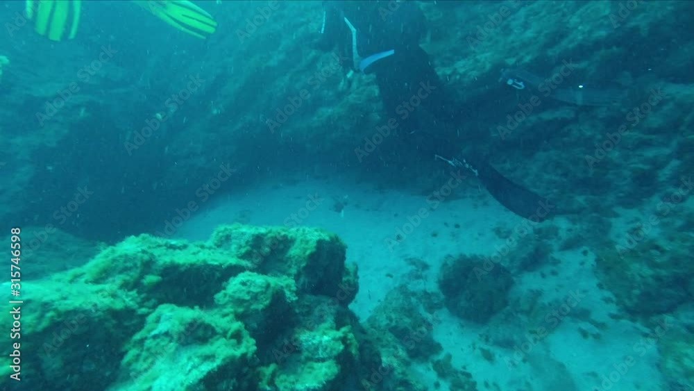Divers swimming in the sea. LIttle particles floating around them. Filmed with a GoPro. Divers swimming in the sea. LIttle particles floating around them. Filmed with a GoPro.