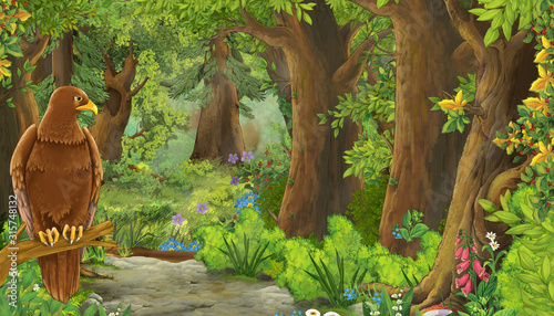 cartoon summer scene with bird eagle with path in the forest - nobody on scene - illustration for children © honeyflavour