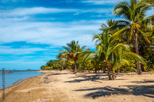 Palm trees on the beach of Sandy Bay on Roatan Island. Honduras