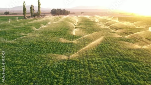 Sprinkler system is working Slow Motion