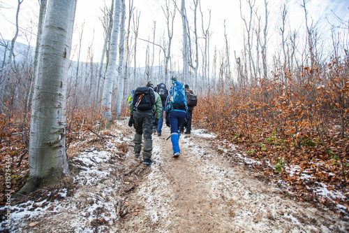 Outdoor Nature Healthy Activity Hiking People Forest Walking