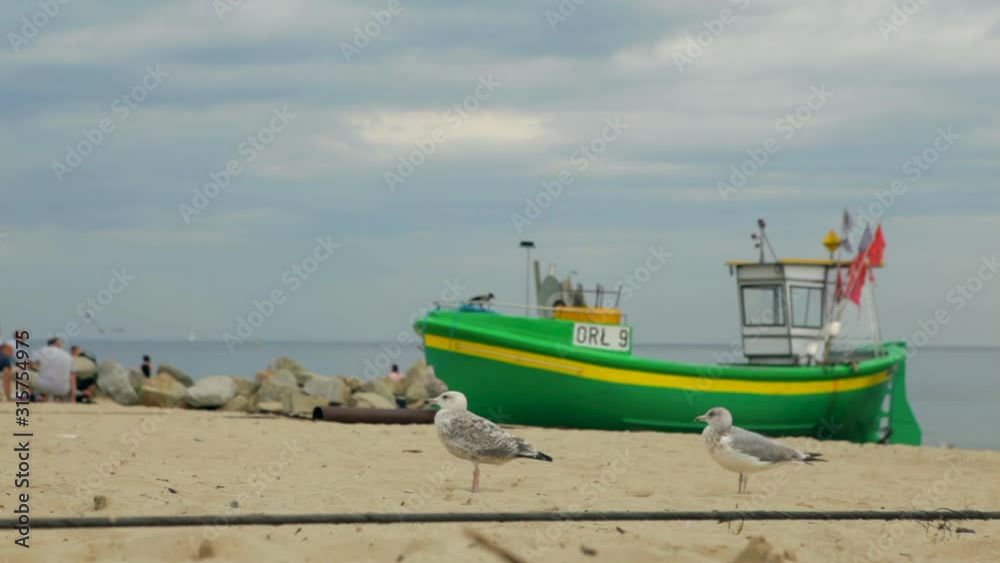 Seagulls stand on a sandy beach with green ships in the background. Сrowd of seagulls standing on the beach in nice soft lighting in a fishing harbor. Seagulls stand on a sandy beach with green ships in the background. Сrowd of seagulls standing on the beach in nice soft lighting in a fishing harbor.