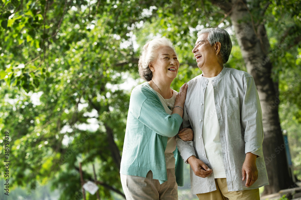 The elderly couple walking in the park The elderly couple walking in the park
