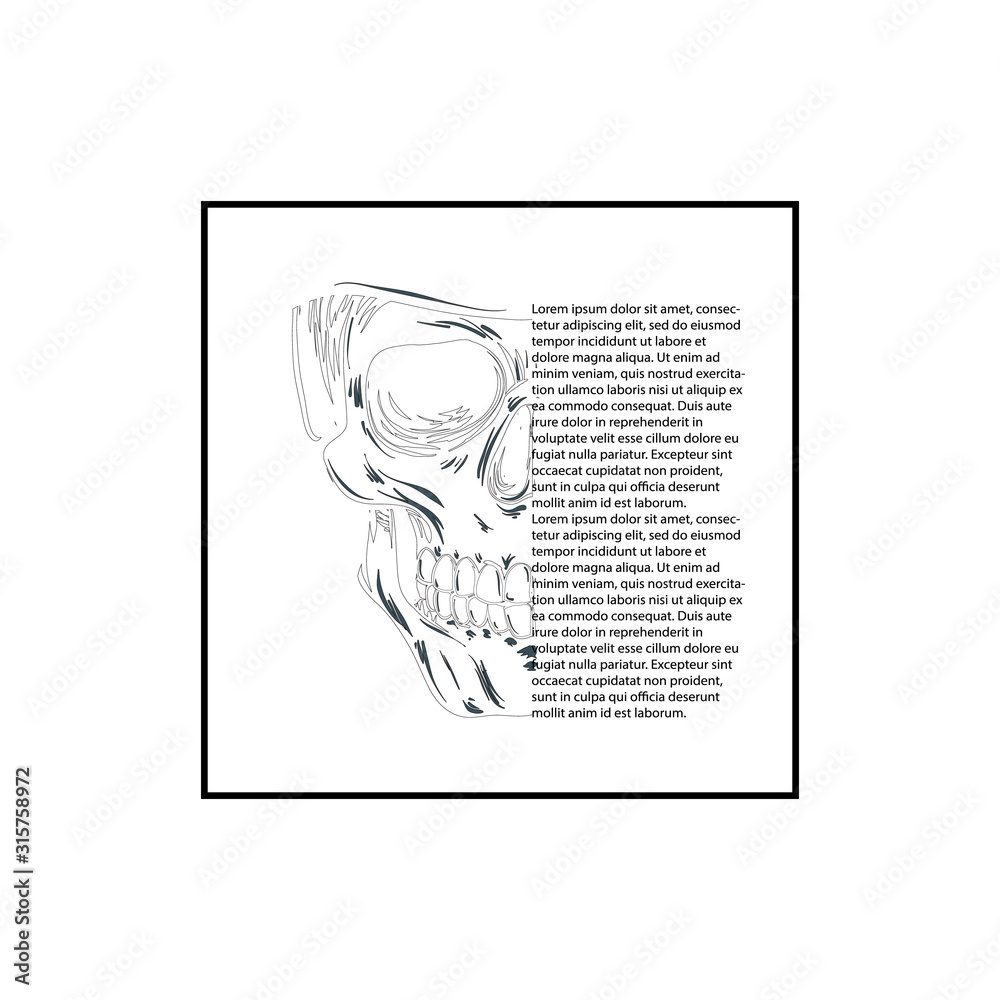 Vector black and white illustration of human skull with a lower jaw in ...