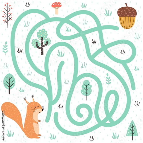 Help the squirrel find the way to the nut. Forest labyrinth for kids