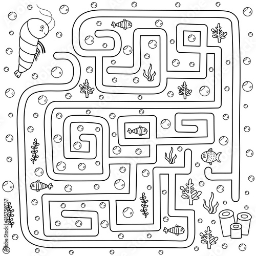 Help the shrimp find the path to her home. Black and white labyrinth for kids