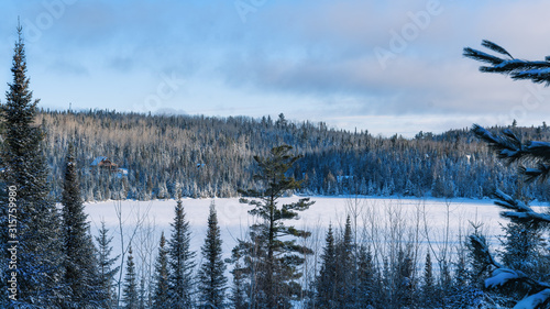 cabin in the north woods