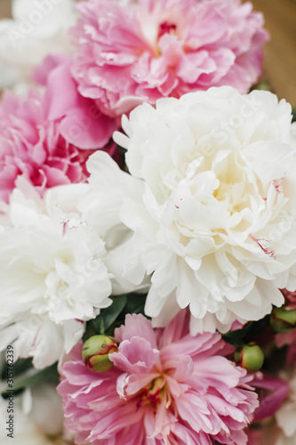Beautiful peonies background. Stylish pink and white peony wallpaper, vertical image. Hello spring. Happy Mothers day greeting card. Happy valentines day