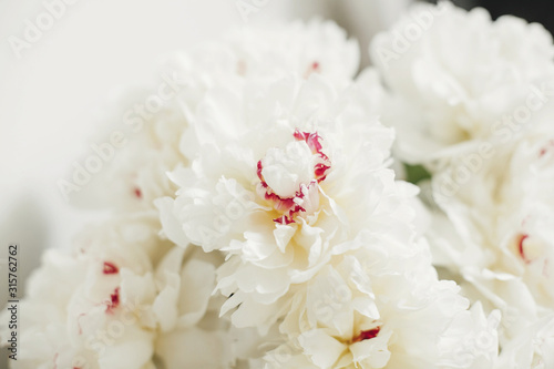 Lovely peony bouquet close up on white wall background. Stylish white peonies with red petals in vase. Hello spring wallpaper. Happy Mothers day. Happy valentines day © sonyachny
