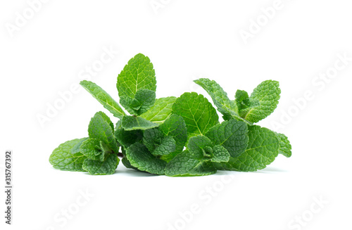 fresh green mint leaves isolated on white background. top view. photo