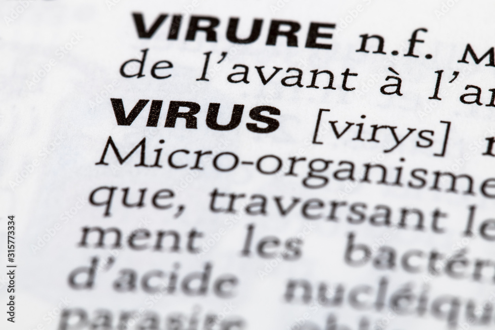Définition du mot virus dans le dictionnaire français Définition du mot virus dans le dictionnaire français