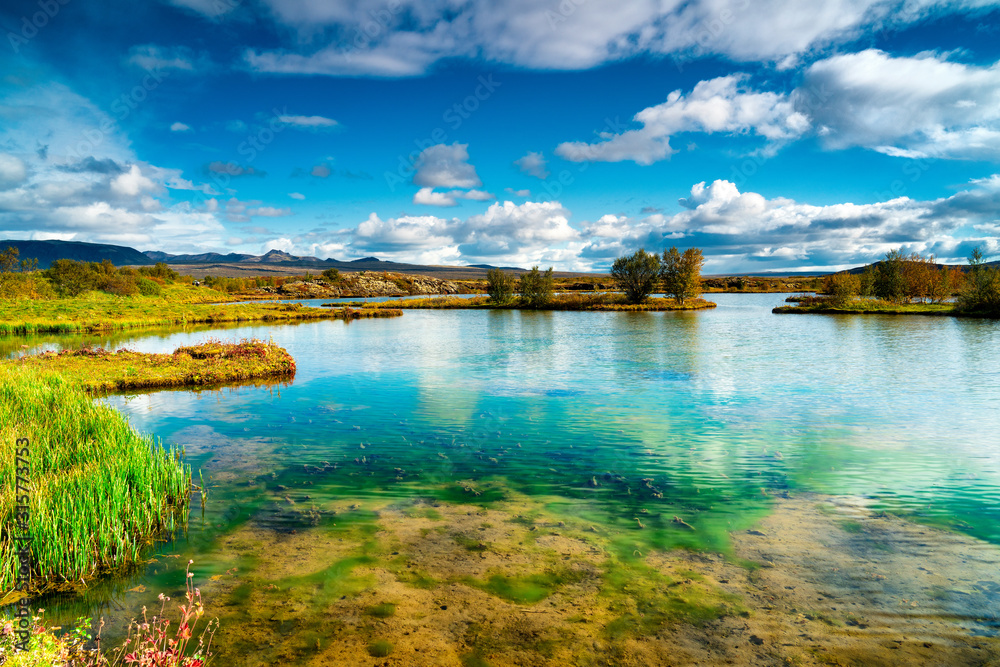 landscape with green lake and blue sky Iceland