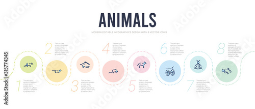 animals concept infographic design template. included clownfish, cockroach, cocoon, coyote, desman, echidna icons