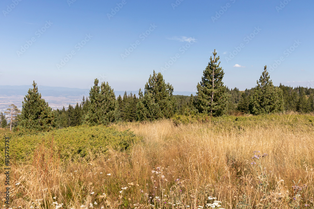 Autumn landscape of Vitosha Mountain, Bulgaria Autumn landscape of Vitosha Mountain, Bulgaria
