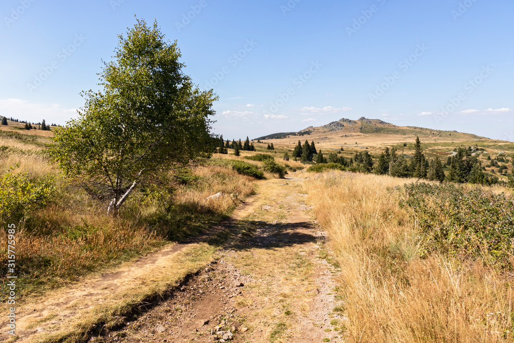 Autumn landscape of Vitosha Mountain, Bulgaria Autumn landscape of Vitosha Mountain, Bulgaria