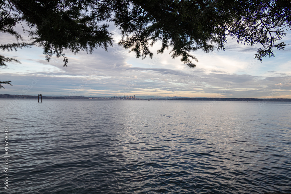 shoreline on bainbridge island with glow from the setting sun