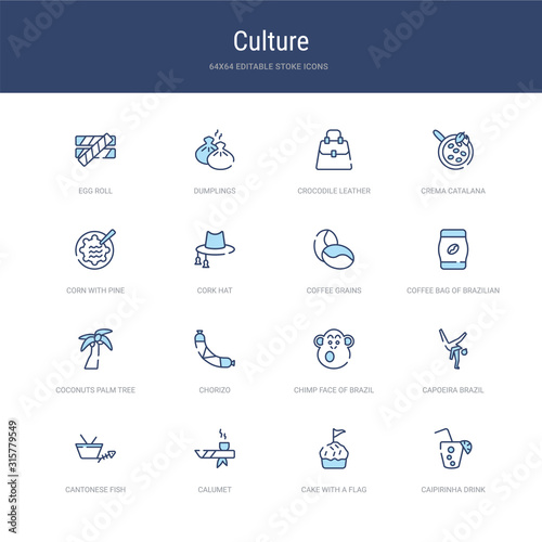 set of 16 vector stroke icons such as caipirinha drink glass of brazil, cake with a flag, calumet, cantonese fish, capoeira brazil dancers, chimp face of brazil from culture concept. can be used for