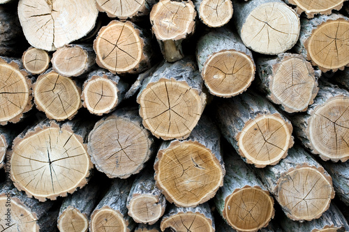 Close up shot of wood logs