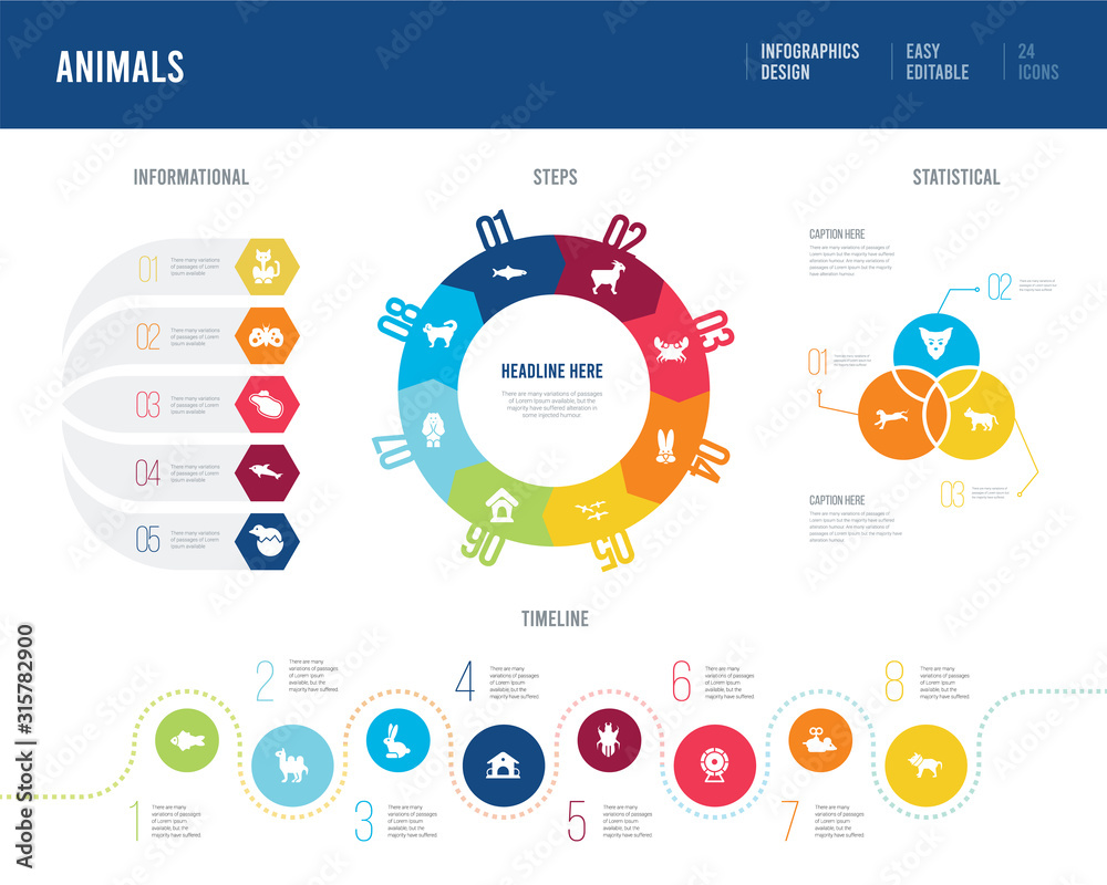 infographic design from animals concept. informational, timeline, statistical and steps presentation themes.