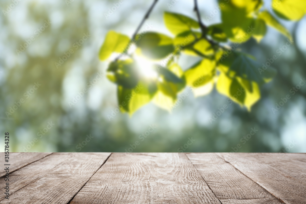 Empty wooden surface against blurred green background. Sunny morning - obrazy, fototapety, plakaty 