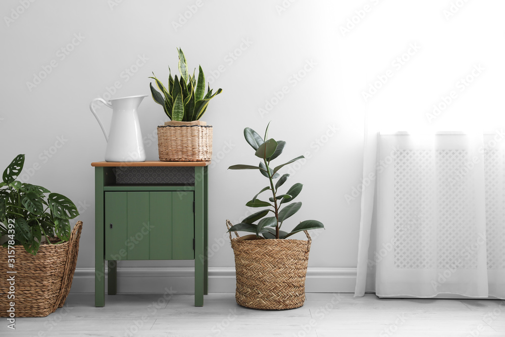 Different tropical plants in wicker pots near white wall at home - obrazy, fototapety, plakaty 