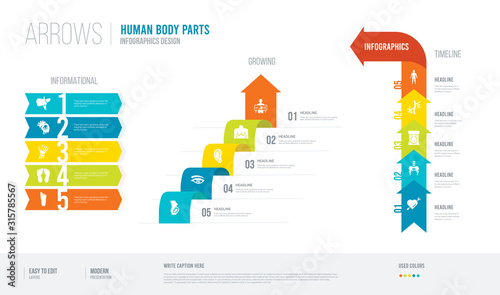 arrows style infogaphics design from human body parts concept. infographic vector illustration