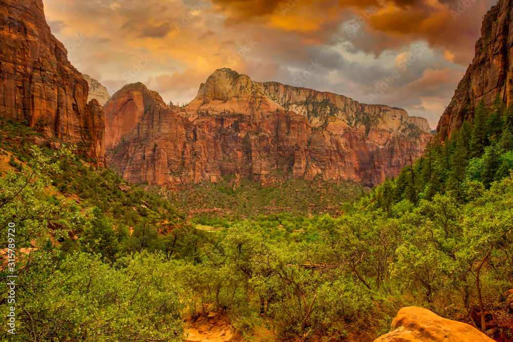zion national park