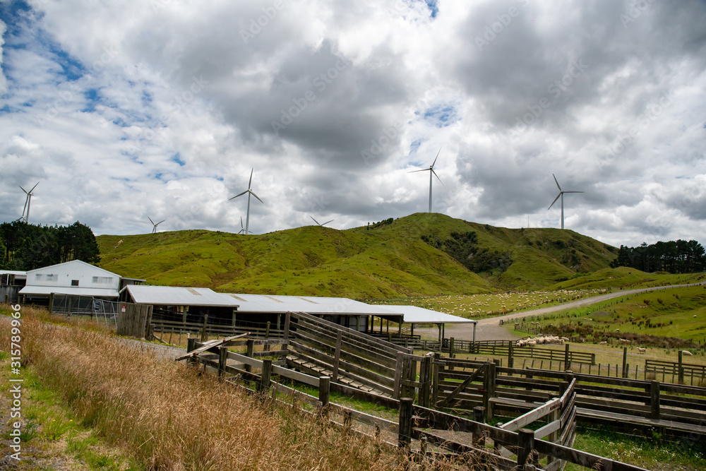 Rural agricultural view of a sheep farm and its sheep and cattle yards on the  hills and valleys with electricity generating wind turbines on the peaks