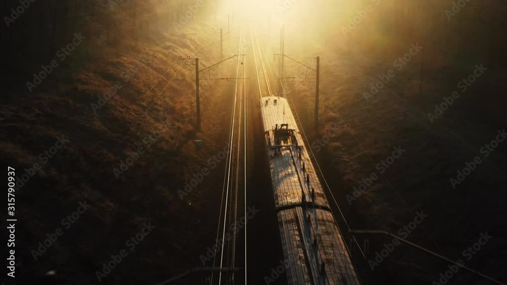 Suburban train goes to sunset through autumn forest.