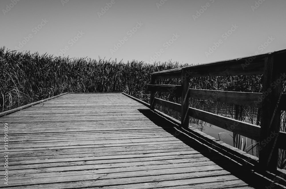Obraz premium wooden bridge over the river